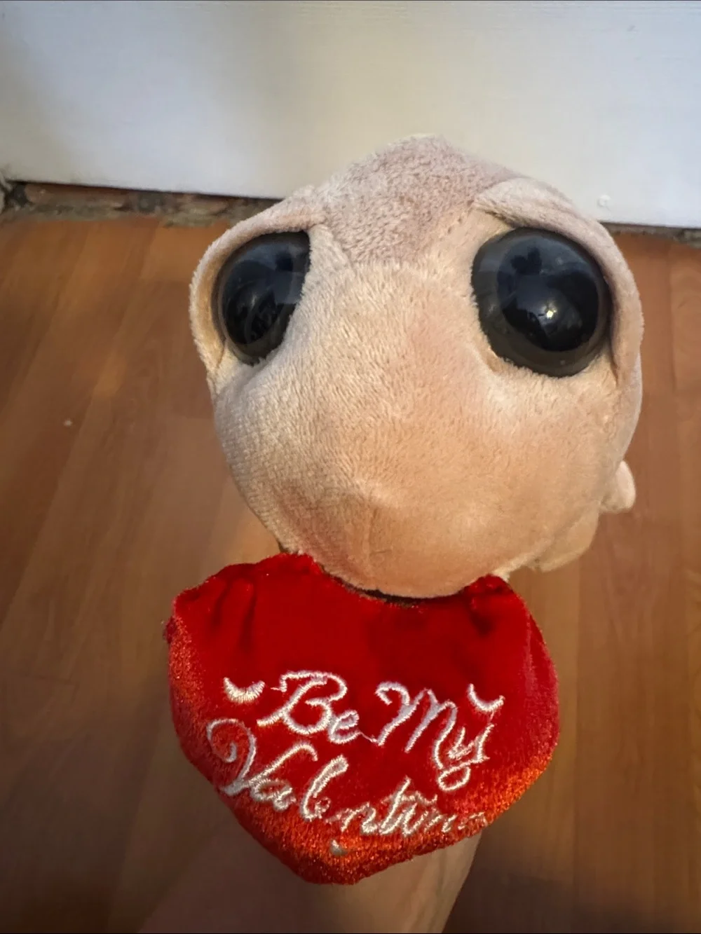Plush Turtle in Green, Beige and Red Heart
